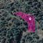 land for sale kampos nicosia 1649917 thumbnail 10050990