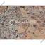 land for sale tseri nicosia 1926917 thumbnail 7536519
