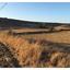 land for sale tseri nicosia 8499917 thumbnail 15320450