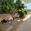 3 bedroom detached house for sale saint george peyia paphos 7727027 thumbnail 10116576