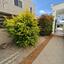 3 bedroom detached house for sale saint george peyia paphos 7727027 thumbnail 10116579
