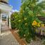 3 bedroom detached house for sale saint george peyia paphos 7727027 thumbnail 10116581