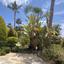 4 bedroom detached house for sale agios athanasios limassol 1794027 thumbnail 5937704