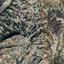 land for sale pachna limassol 8630027 thumbnail 16656511