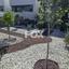 3 bedroom detached house for sale agia marinouda paphos 8399127 thumbnail 14832615