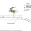 3 bedroom detached house for sale akrounta limassol 8004127 thumbnail 12755365