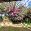 3 bedroom detached house for sale psematismenos larnaca 1387127 thumbnail 9218052