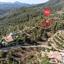 land for sale agios epifanios oreinis nicosia 1113127 thumbnail 15603610