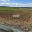 land for sale anarita paphos 1270127 thumbnail 5550691