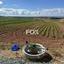land for sale anarita paphos 1270127 thumbnail 5550693