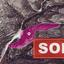 land sold faneromeni larnaca 8139127 thumbnail 17569671