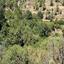 196 SQM Land for sale in Galata, Nicosia thumbnail 16295219