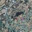 land for sale pera orinis nicosia 1853227 thumbnail 12643990