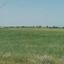 11814 SQM Land for sale in Avgorou, Famagusta thumbnail 16560283