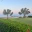 2 bedroom apartment for sale meneou larnaca 8175327 thumbnail 14162353