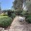 3 bedroom detached house for sale agia anna larnaca 7820427 thumbnail 16535390