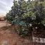 3 bedroom detached house for sale chrysopolitissa larnaca 7838427 thumbnail 10773743