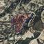 land for sale laneia limassol 8633427 thumbnail 15880908