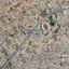 plot for sale ekali limassol 8804427 thumbnail 16790417