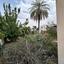 plot for sale pano lakatamia nicosia 1823427 thumbnail 6376895