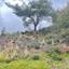 plot for sale moniatis limassol 1689527 thumbnail 15998430