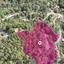 plot for sale pera pedi limassol 1650527 thumbnail 6487767