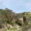 18395 SQM Land for sale in Amargeti, Paphos thumbnail 15594767
