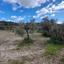 4348 SQM Land for sale in Choirokoitia, Larnaca thumbnail 16188034