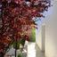 3 bedroom detached house for sale agrokipia nicosia 1205627 thumbnail 10493021