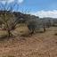 land for sale choirokoitia larnaca 1060627 thumbnail 16188031