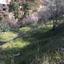 land for sale xyliatos nicosia 829627 thumbnail 2817210