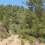 land for sale palaichori morfou nicosia 954727 thumbnail 15602337