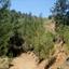 land for sale pedoulas nicosia 945727 thumbnail 15603321