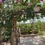 3 bedroom detached house for sale pervolia larnaca 8367827 thumbnail 14579464