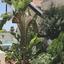 4 bedroom detached house for sale ekali limassol 8106827 thumbnail 15524211