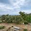 4 bedroom detached house for sale poli chrysochous paphos 7739827 thumbnail 12578820