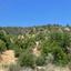 8260 SQM Land for sale in Palaichori Morfou, Nicosia thumbnail 9337463