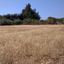 land for sale kouklia pafou paphos 827927 thumbnail 15177939
