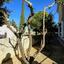 3 bedroom detached house for sale deryneia famagusta 1574037 thumbnail 5629264