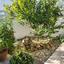 3 bedroom detached house for sale strovolos nicosia 8875037 thumbnail 17233957