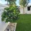 3 bedroom detached house for sale strovolos nicosia 8875037 thumbnail 17233971