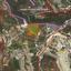land for sale ypsonas limassol 1659037 thumbnail 12398359
