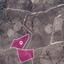 land under offer galataria paphos 1057037 thumbnail 15781228