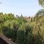 5 bedroom detached house for sale pentakomo limassol 1802137 thumbnail 6603612
