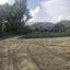 land for sale kannaviou paphos 946137 thumbnail 15598860