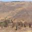 land off market kilinia paphos 8630137 thumbnail 17011439