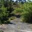 12637 SQM Plot for sale in Kakopetria, Nicosia thumbnail 16168146