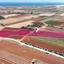 13623 SQM Land for sale in Potamos Liopetriou, Famagusta thumbnail 16688255