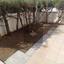 2 bedroom apartment for rent egkomi nicosia 8249237 thumbnail 15154443