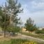 land for sale argaka paphos 1159237 thumbnail 5520067